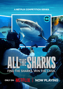 All the Sharks season 1