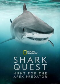Shark Quest: Hunt For The Apex Predator