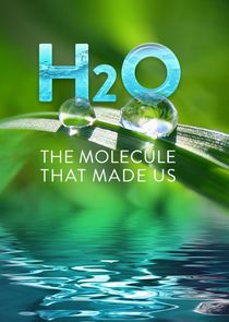 H2O: The Molecule That Made Us
